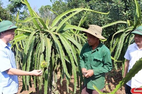 Luân chuyển, điều động cán bộ - tôi luyện để trưởng thành:Kỳ II. Người đứng đầu không phải người địa phương