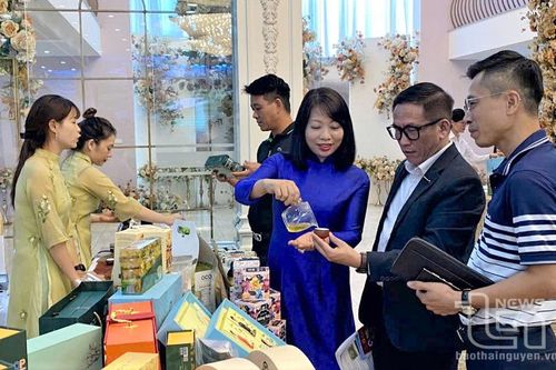 Quảng bá du lịch Thái Nguyên tại Hải Phòng và Quảng Ninh