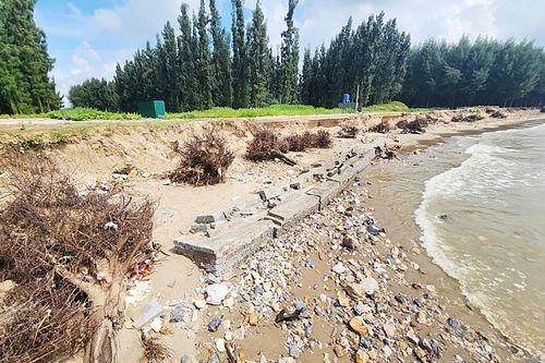 Hoằng Hóa (Thanh Hóa): Công bố tình huống khẩn cấp sạt lở, xâm thực bờ biển