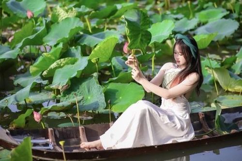 Bật mí điểm check-in với sen cực hot khi đến Sun World Ha Long