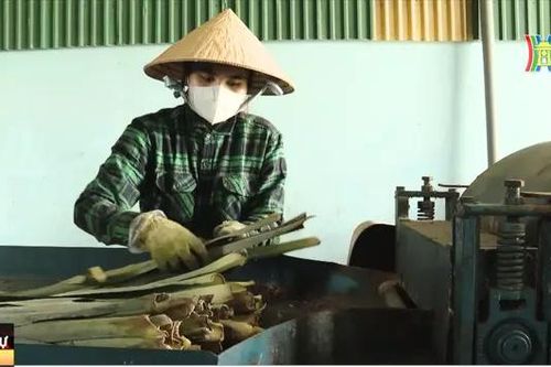 Hội Phụ nữ tham gia kết nối tiêu thụ nông sản