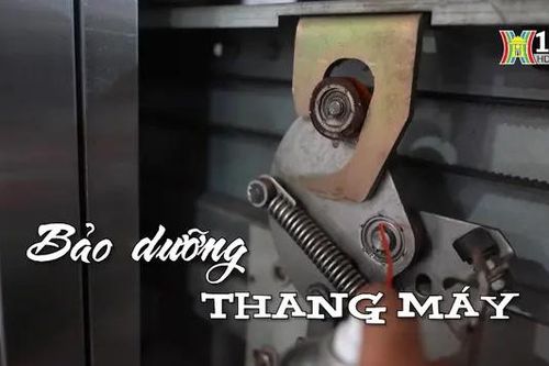 Bảo dưỡng thang máy | Nhịp sống Hà Nội | 27/08/2024