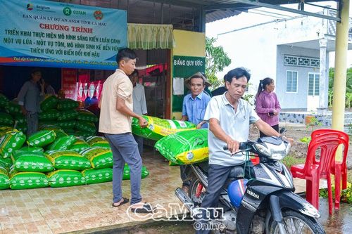 Trao lúa giống cho nông dân sản xuất lúa tôm
