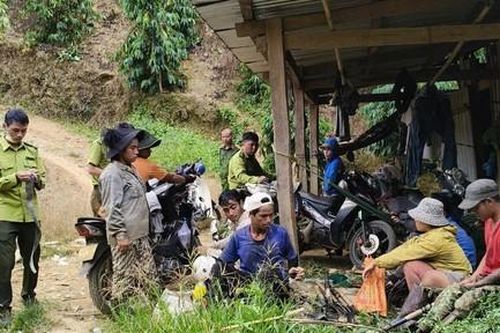 Đắk Nông: Phát hiện vụ phá rừng quy mô lớn