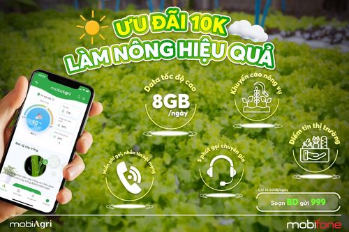 Nhà nông canh tác hiệu quả nhờ chuyển đổi số nông nghiệp
