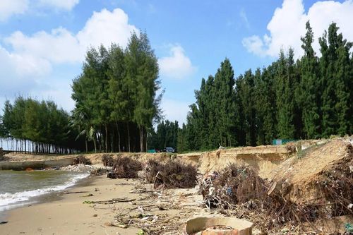 Báo động tình trạng biển xâm thực