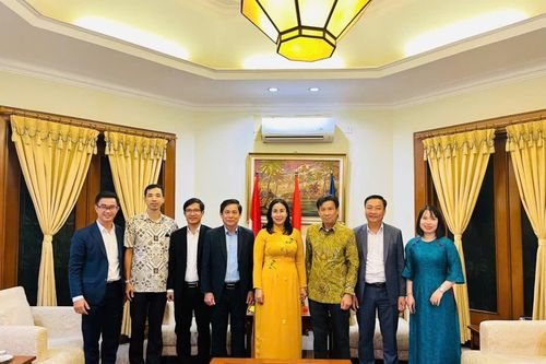 Khơi thông nguồn lực hợp tác quốc tế với thị trường Indonesia
