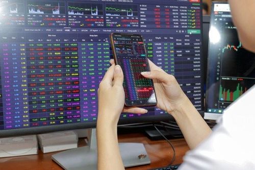 Lợi nhuận giảm, CEO CK Hòa Bình bỏ trăm tỷ 'gom' 24,24% cổ phần
