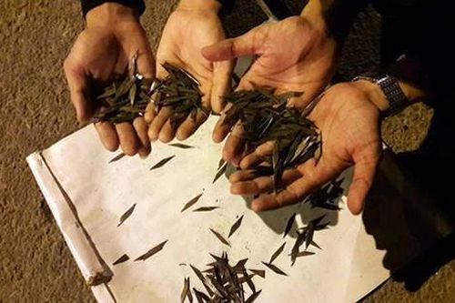 Bày cho trẻ phạm pháp!