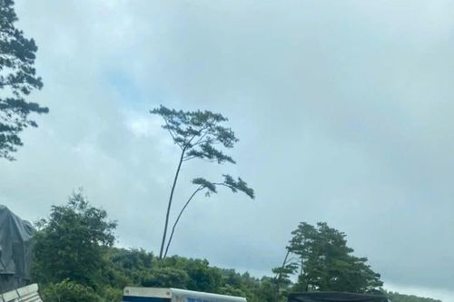 Đắk Lắk: Tai nạn liên hoàn trên đường Hồ Chí Minh, nhiều người bị thương