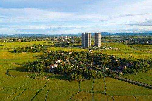 Chiêm ngưỡng cánh đồng lúa tuyệt đẹp ở Hà Tĩnh
