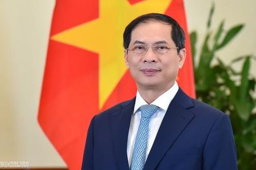 Phó Thủ tướng Chính phủ, Bộ trưởng Ngoại giao Bùi Thanh Sơn gửi thư chúc mừng nhân dịp kỷ niệm 79 năm ngày thành lập ngành Ngoại giao