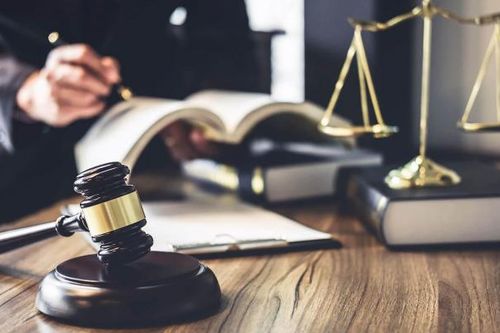 Xây dựng đội ngũ 300 công chức trở thành lực lượng nòng cốt tham mưu xây dựng pháp luật