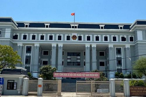 Con dâu cũ cựu Bí thư Tỉnh ủy Quảng Nam đề nghị phúc thẩm phân chia khối tài sản 118 tỉ đồng