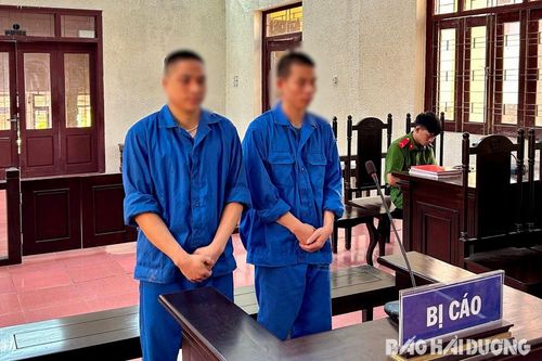 Kết đắng cho việc sử dụng ma túy tại phòng trọ