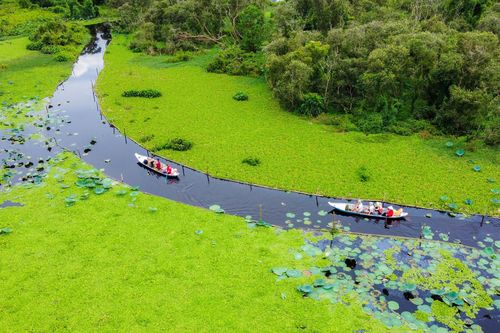 Gợi ý trải nghiệm du lịch 2/9 thú vị ở miền Nam