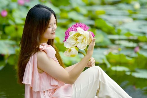 Hồ sen đẹp như tranh vẽ giữa phố biển Hạ Long
