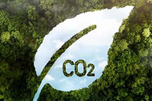 Chuyển nhượng gần 6 triệu tấn CO2 còn dư, để lâu sẽ bị mất giá