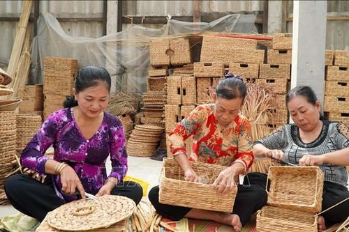 Thoát nghèo nhờ nghề đan lục bình