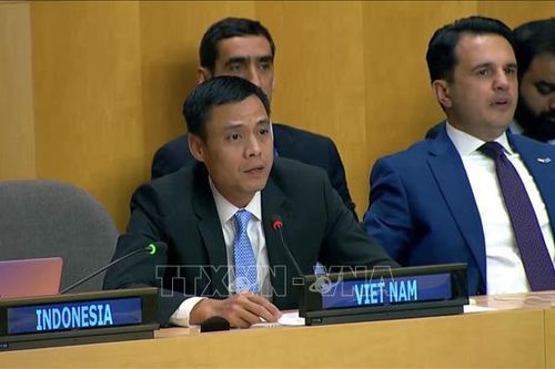 Việt Nam đề nghị LHQ tăng cường hỗ trợ các nước đang phát triển trong chuyển đổi năng lượng