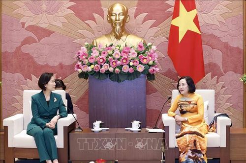 Thúc đẩy các biện pháp nâng kim ngạch thương mại Việt Nam - Hàn Quốc