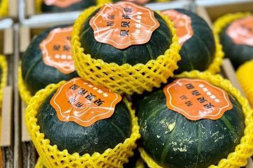 Bất ngờ 'lai lịch' loại bí ngô hạt dẻ giá đắt đỏ đang gây sốt chợ mạng