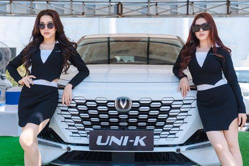 Nhan sắc tuyệt mỹ của dàn người đẹp bên xe hơi