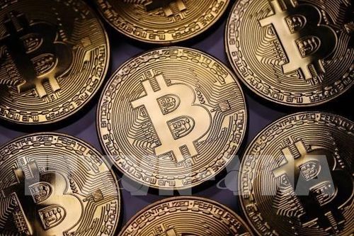 Bitcoin tăng giá, số lượng triệu phú tiền số tăng tới 95%