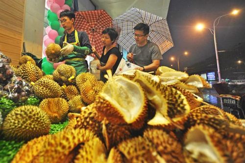 Malaysia và chiến lược 'xử lý xanh' chất thải từ ngành công nghiệp sầu riêng