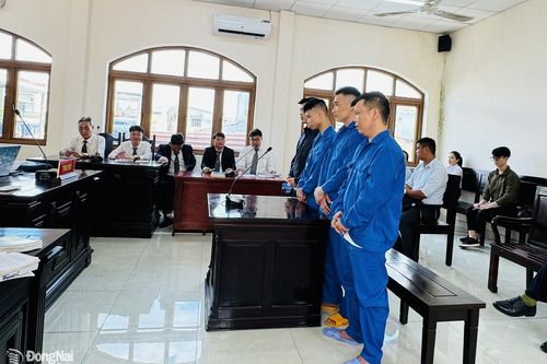 Trộm cắp tài sản của công ty, lãnh án nặng