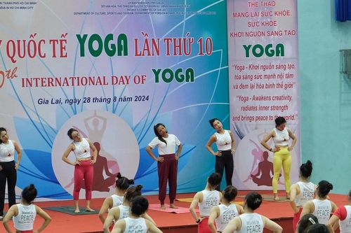 Trên 100 người đồng diễn kỷ niệm Ngày quốc tế yoga lần thứ 10 tại Gia Lai