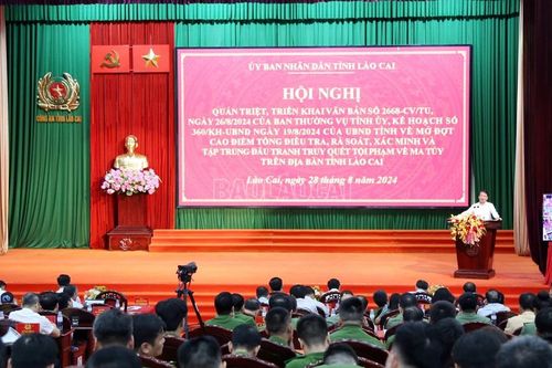 Triển khai kế hoạch mở đợt cao điểm tổng điều tra, rà soát, xác minh và tập trung đấu tranh truy quét tội phạm về ma túy trên địa bàn tỉnh