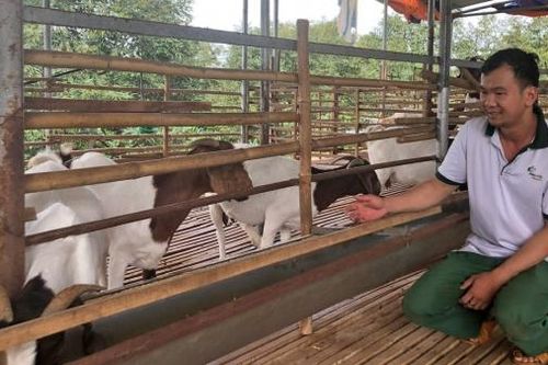 Nông trại tuần hoàn của nông dân trẻ