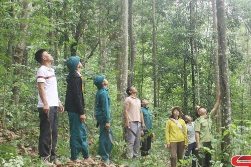 Bảo vệ nghiêm ngặt các khu rừng trọng điểm