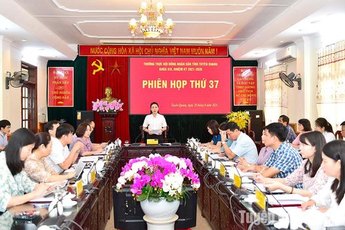Phiên họp thứ 37 Thường trực HĐND tỉnh