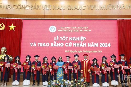 Vì sao điểm trúng tuyển vào nhóm ngành sư phạm cao vượt trội?
