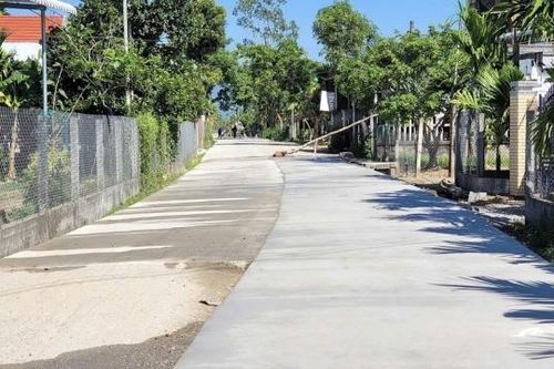 Quảng Ngãi: Đấu thầu mua xi măng tập trung tiết kiệm hơn 11 tỷ đồng