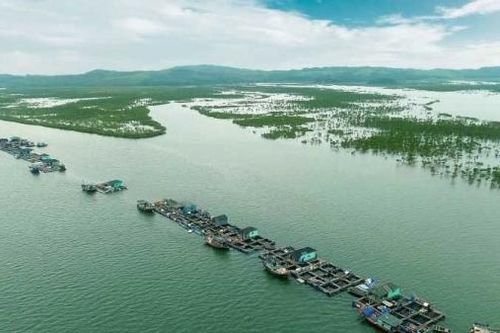 Đầm Hà (Quảng Ninh) sẽ có khu du lịch rộng hơn 1.000 ha trên đảo