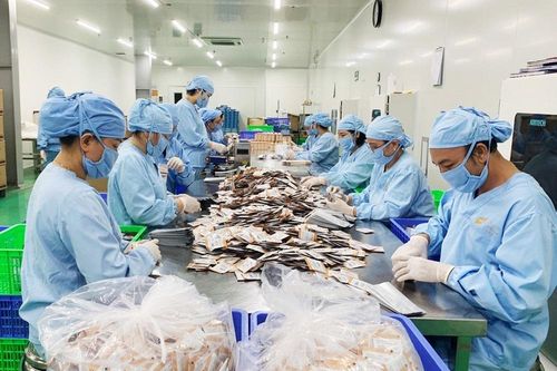 Nông sản hữu cơ cần 'phao cứu sinh'