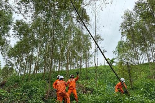 EVNNPC đảm bảo cung cấp điện ổn định dịp nghỉ lễ Quốc khánh