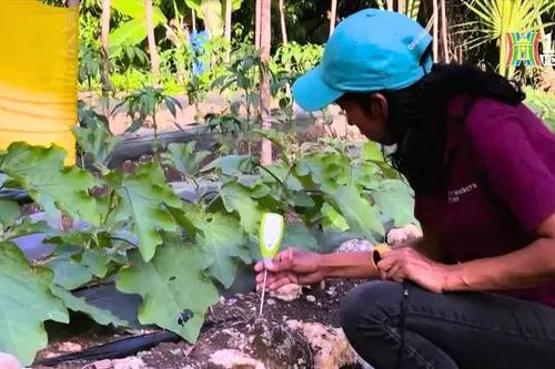 WFP giúp người dân Guatemala đối phó với nạn đói