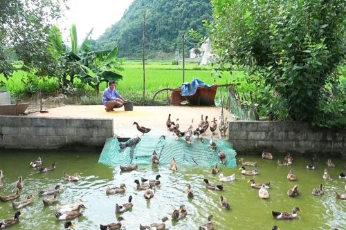 Sở Khoa học và Công nghệ đẩy mạnh quản lý nhà nước về sở hữu trí tuệ