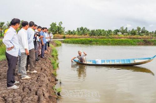 Triển khai giai đoạn 2 dự án trồng lúa kết hợp nuôi trồng thủy sản có trách nhiệm