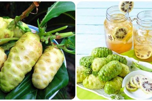 Cách sử dụng quả nhàu tốt cho sức khỏe