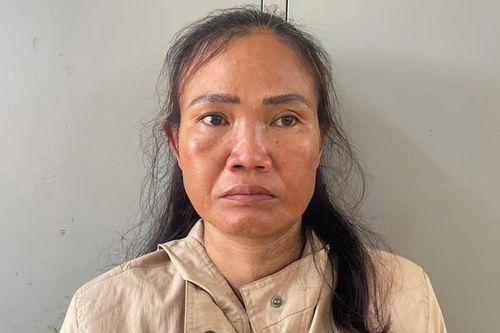 Bắt người phụ nữ bị truy nã nhập cảnh từ Lào về Việt Nam