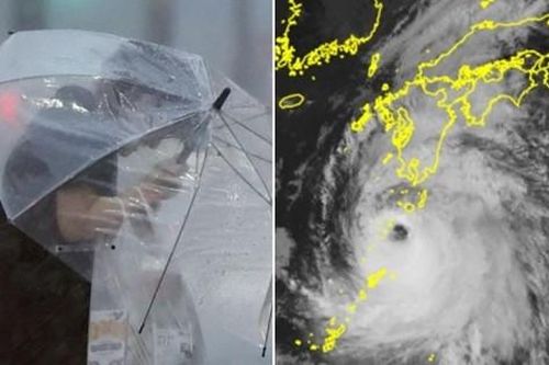 Bão Shanshan có đường đi đặc biệt khó dự báo, có thể đổ bộ Nhật Bản nhiều lần
