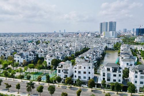 Một công ty có nghề chăn nuôi muốn làm dự án gần 7.000 tỷ đồng