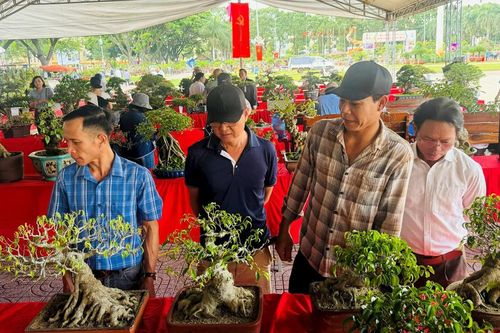 Đắk Lắk: Gần 5.000 tác phẩm độc đáo dự triển lãm trưng bày và thi Sinh Vật Cảnh