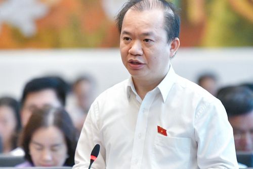 ĐBQH: Nên miễn, giảm thuế để khuyến khích huy động nguồn lực cho phát triển văn hóa