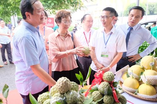 Hơn 1.000 đặc sản từ 45 tỉnh thành quy tụ tại Big C Thăng Long